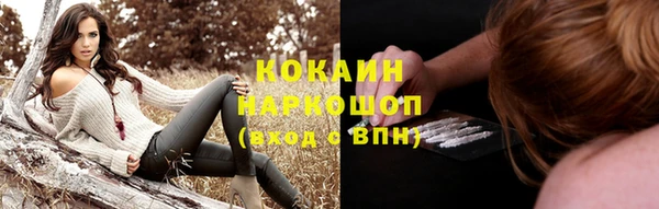 стаф Кинешма